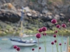 bateau