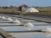 marais salants